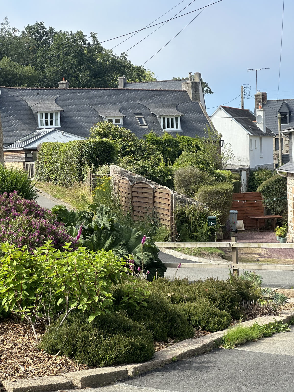 Une santé globale, inspirée de la tradition hildegardienne
