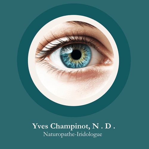 Logo Yves Champinot, N . D .